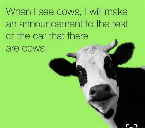 Moo Cows To Be Exact 😂😂😂😂😂😂😂😂 Cows Funny Funny Pictures Cow Quotes