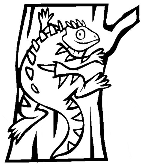 iguana coloring page animals town