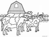 Barnyard Cow Bauernhof Cows Coloring4free Herd Cool2bkids Kostenlos Ausdrucken Malvorlagen Preschool sketch template