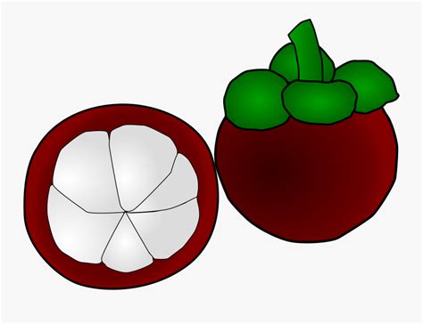 gambar buah kartun semangka gambar bagian tumbuhan