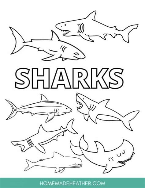 printable shark coloring pages