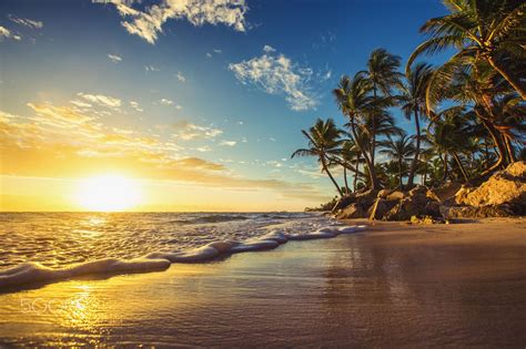 landscape  paradise tropical island beach sunrise shot palm trees