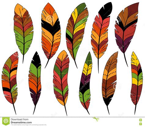 thanksgiving or fall colored feathers stock vector illustration of