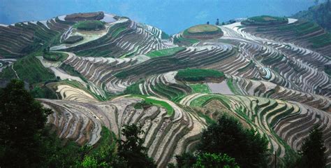 longji rice terraces tourist information facts picture
