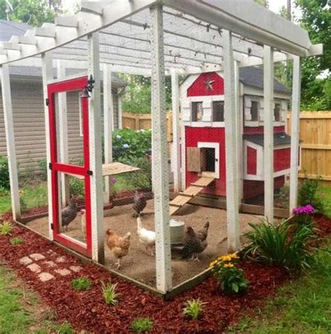 budget diy backyard chicken coop plans