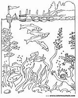 Diver Getcolorings sketch template