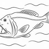 Coloring Viperfish Designlooter 268px 95kb Clipart sketch template