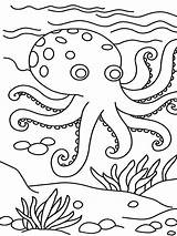 Octopus Coloring Pages Kids Printable Animal Jumbo Sheets Clipart Preschool Print Coral Easy Color Cartoon Animals Ocean Kindergarten Doc Ock sketch template