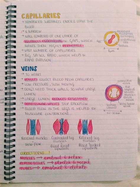 biology notes   biology notes medical school studying science