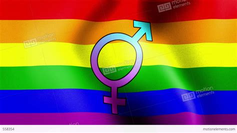 Waving Rainbow Flag Bisexual Stock Animation 558354