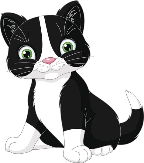 gambar kucing comel  manja anak kucing lucu   cute