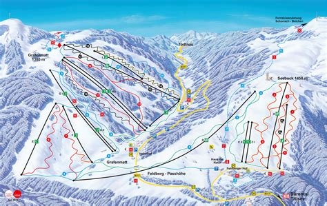 pistenplan skigebiet feldberg alpencams
