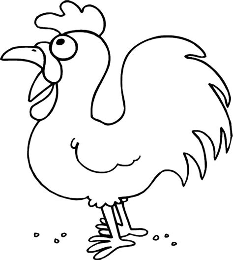 funny chicken pictures  facebook animal coloring pages animal