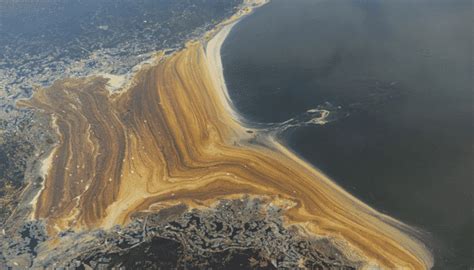 understanding oil spill  sea prevention  cleanup methods