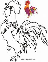 Coloring Rooster Chicken Hen Pages sketch template