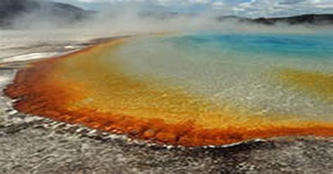 yellowstone volcano latest news updates and pictures daily star