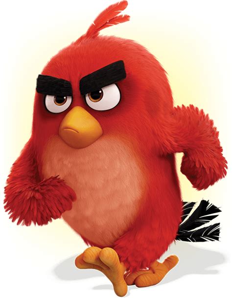 Characters Angry Birds