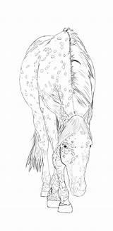 Horse Appaloosa Coloring Pages Deviantart Horses Line Palomino Animals Color Tegninger Colouring Drawings Hest Malebøger Animal Adults Kids Cool Adult sketch template