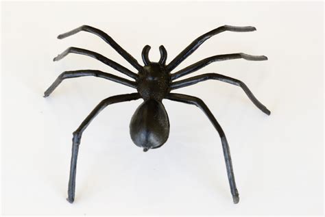 image  plastic toy spider creepyhalloweenimages