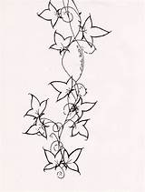 Ivy Vine Drawing Outline Tattoo Drawings Paintingvalley Stencil sketch template