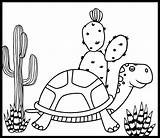 Desert Coloring Printable Pages Tortoise Animals Printablee Via sketch template