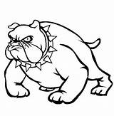 Pitbull Bulldogs Bulldog Sheets Coloringfolder Getcolorings sketch template