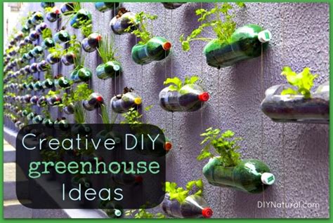 Bottle Greenhouse And Other Creative Diy Greenhouse Ideas