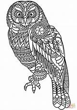 Zentangle Coloring Owl Pages Printable Animal Animals Color Supercoloring Colouring Bird Drawing Programs Sheets Mandala Books Print Crafts Choose Board sketch template