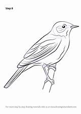 Nightingale Necessary Improvements sketch template