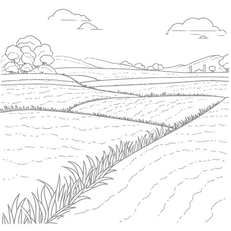 paddy field coloring page  drawing cartoon clipart image outline