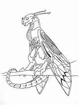 Wyvern Cicada Ecosia Caracals sketch template