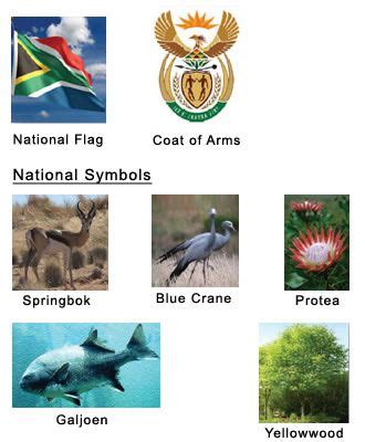 south african symbols   meanings
