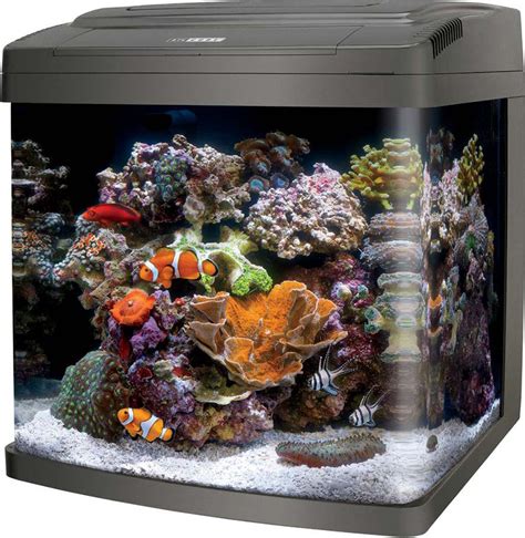 buy aqueon products glass coralife bio cube led aquarium black