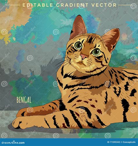 bengal cat illustration stock vector illustration  glamour