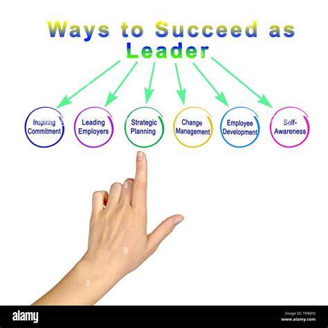 ways  succeed  leader stock photo alamy