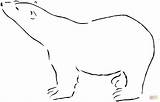 Bear Polar Coloring Pages Bears Color Printable Animal Outline Kids sketch template