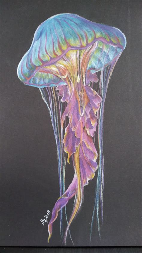 pin  stef   mes dessins jellyfish art jellyfish painting