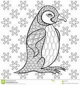 Coloring Pages Penguin Adult Snowflakes Zentangle Dreamstime Stress King Anti Ill Books Among Illustartion Tattoos High Vector Thumbs Snowflake Tattoo sketch template