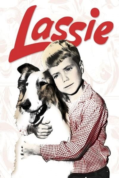 watch lassie season 1 online in the best quality on 123movies