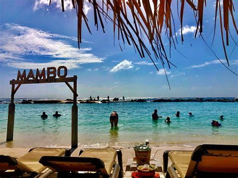 mambo beach curacao            tripadvisor