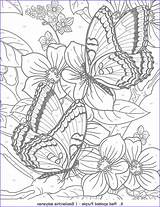 Coloring Number Color Books Pages Adult Adults Butterfly Awesome Butterflies Flower Choose Board Deta sketch template