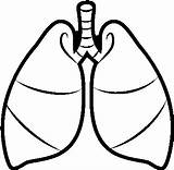 Lungs Coloring Template Dibujo sketch template