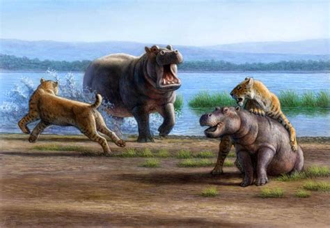 fauna   pleistocene  mauricio anton prehistoric wildlife