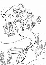Meerjungfrau Arielle Malbuch Mermaid Zeemeermin Kleurplaten Kleurplaat Sereia Colorear Kifestk Sirenita sketch template