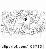 Coloring Royalty Clip Parrot Outline Artist sketch template