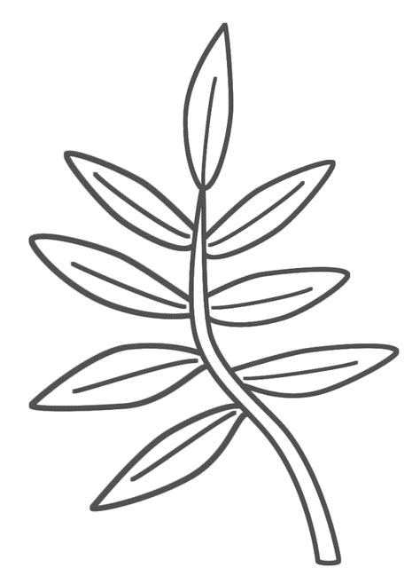 palm leaf coloring pages coloring home