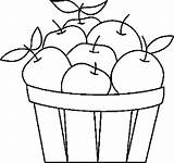 Basket Coloring Template Fruit sketch template