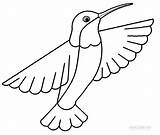 Hummingbird Coloring Pages Printable Ruby Throated Drawing Print Color Kids Template Simple Bird Colouring Step Cool2bkids Templates Getdrawings Clipartmag Getcolorings sketch template