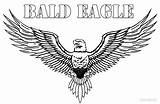 Eagle Bald Coloring Pages Eagles Kids Color Printable Drawing Cool2bkids Clipart Colouring Philadelphia Tattoo Choose Board Ages sketch template