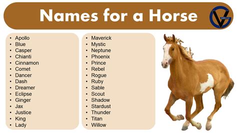 list  names   horse naming ideas grammarvocab